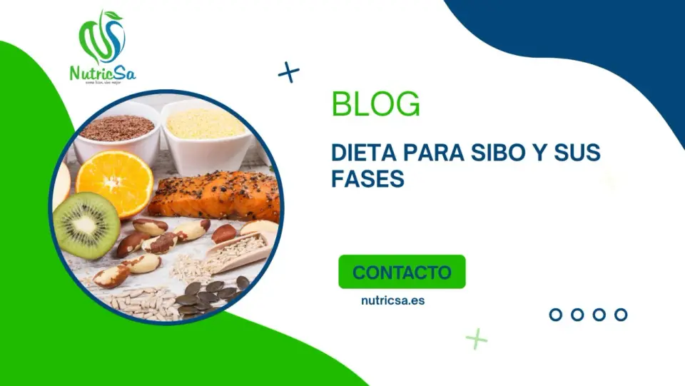 Dieta SIBO - qué comer y cómo reintroducir alimentos