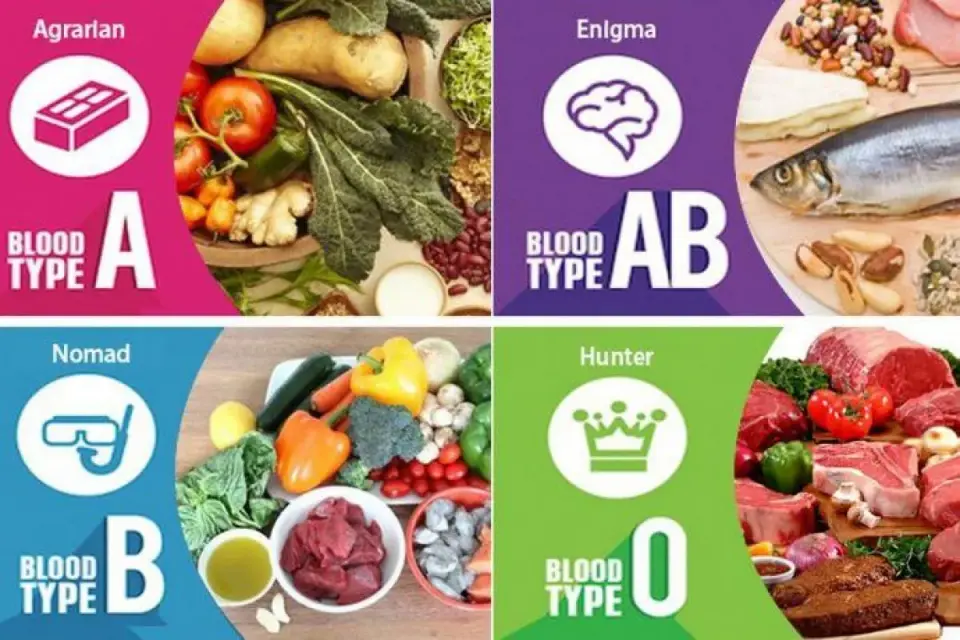 ¿Funciona la dieta según el grupo sanguíneo?